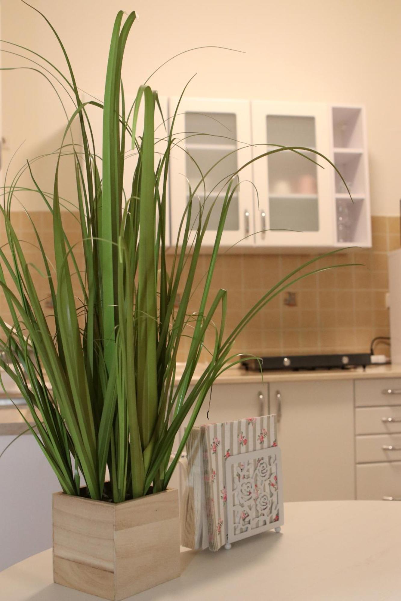 Tulipan Apartman Gödöllő Exteriör bild